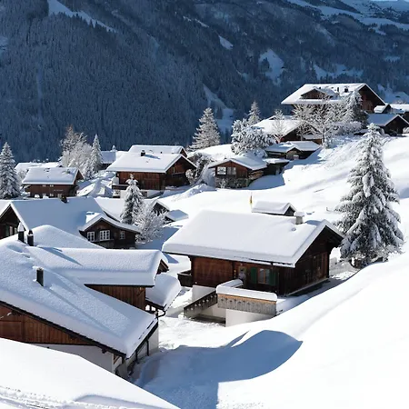 Grindellodge Hotel 3*
