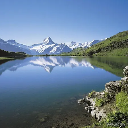 Grindellodge